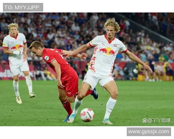 萨尔普与布兰的巅峰对决谁将赢得最终胜利解析与展望