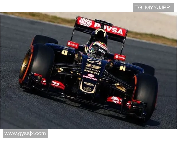 马尔多纳多的传奇人生与赛车生涯的辉煌与挑战